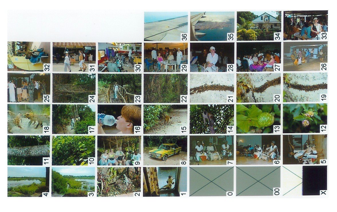 Photograph